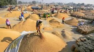 धान खरीदी का अभियान शुरू — समर्थन मूल्य (MSP) पर खरीद का पहला दिन