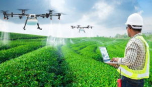 PAT/PVPT-2026: एग्रीकल्चर और डिप्लोमा कोर्स में एडमिशन के लिए प्रवेश परीक्षा.